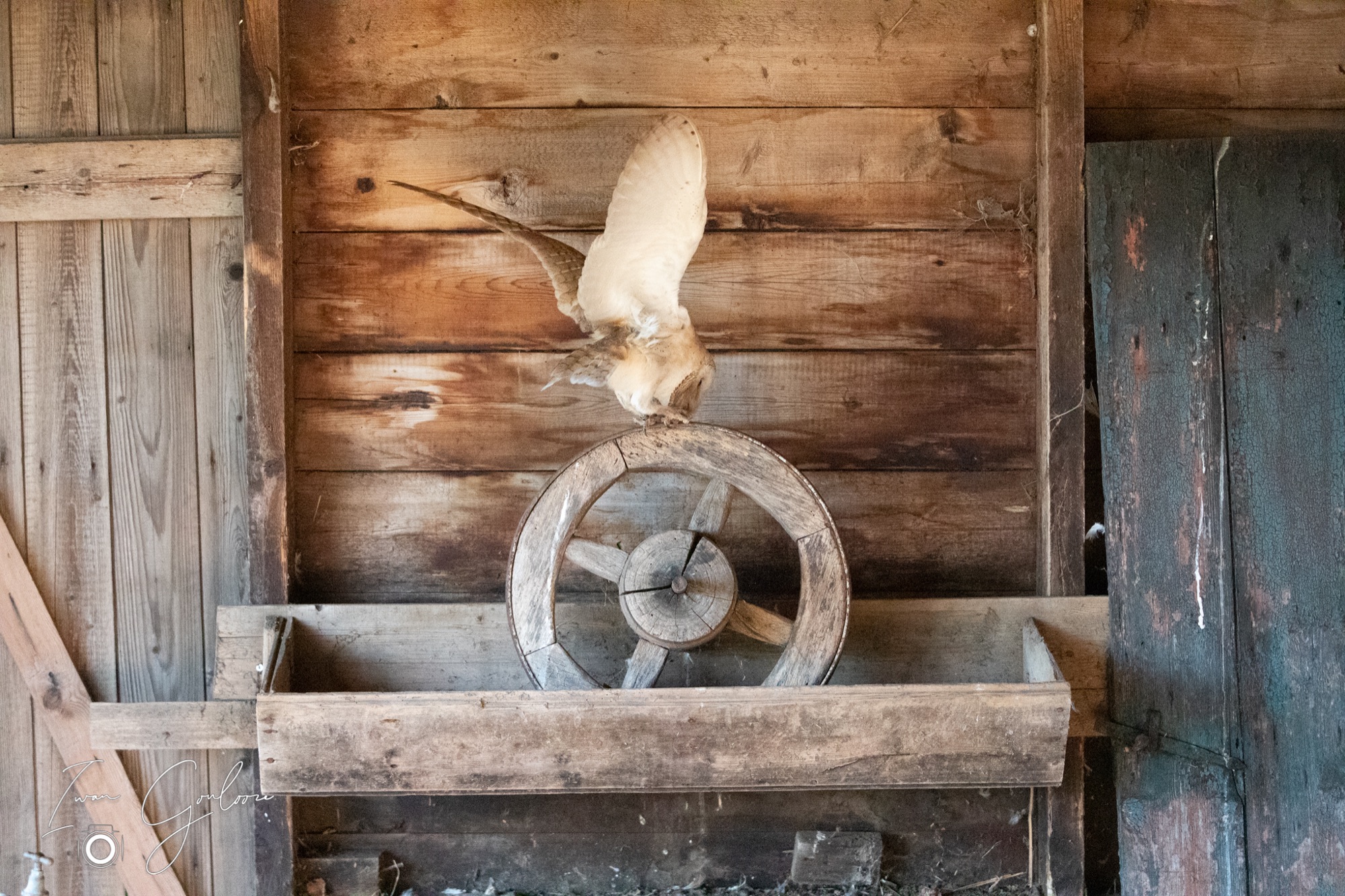 04 maart 2022 161337 1DX44288